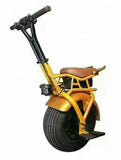 Self Balancing Electric Unicycle Scooter – One Big Wheel & 1000W Motor 7AH Battery Upgrade