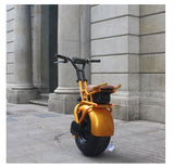 Self Balancing Electric Unicycle Scooter – One Big Wheel & 1000W Motor 7AH Battery Upgrade