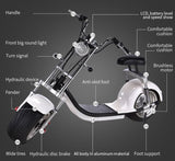 NEW 2000W Electric Wide Fat Tire Scooter Chopper / Harley Design CityCoco Bike